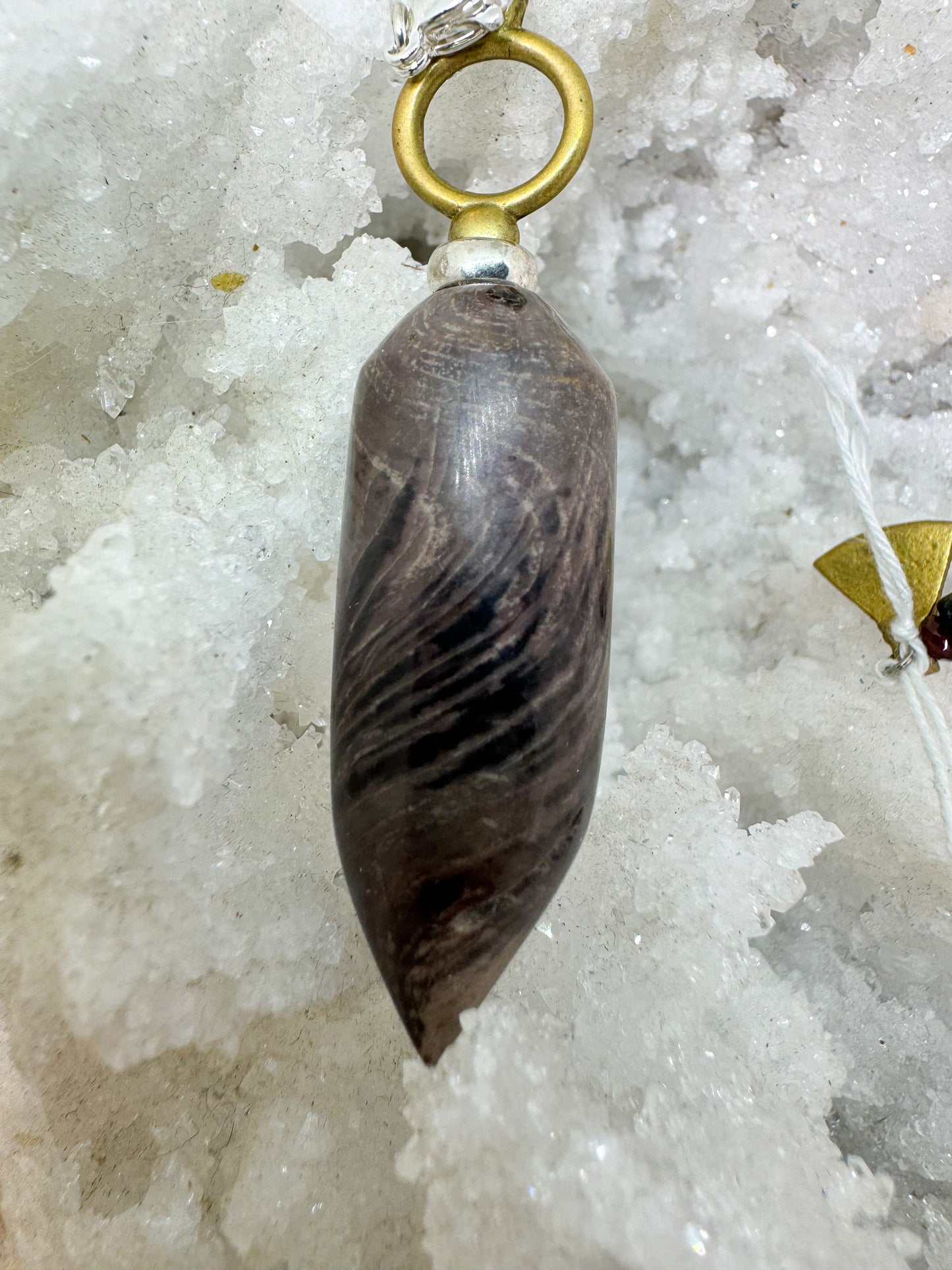 Huitre fossilisée de Bretagne