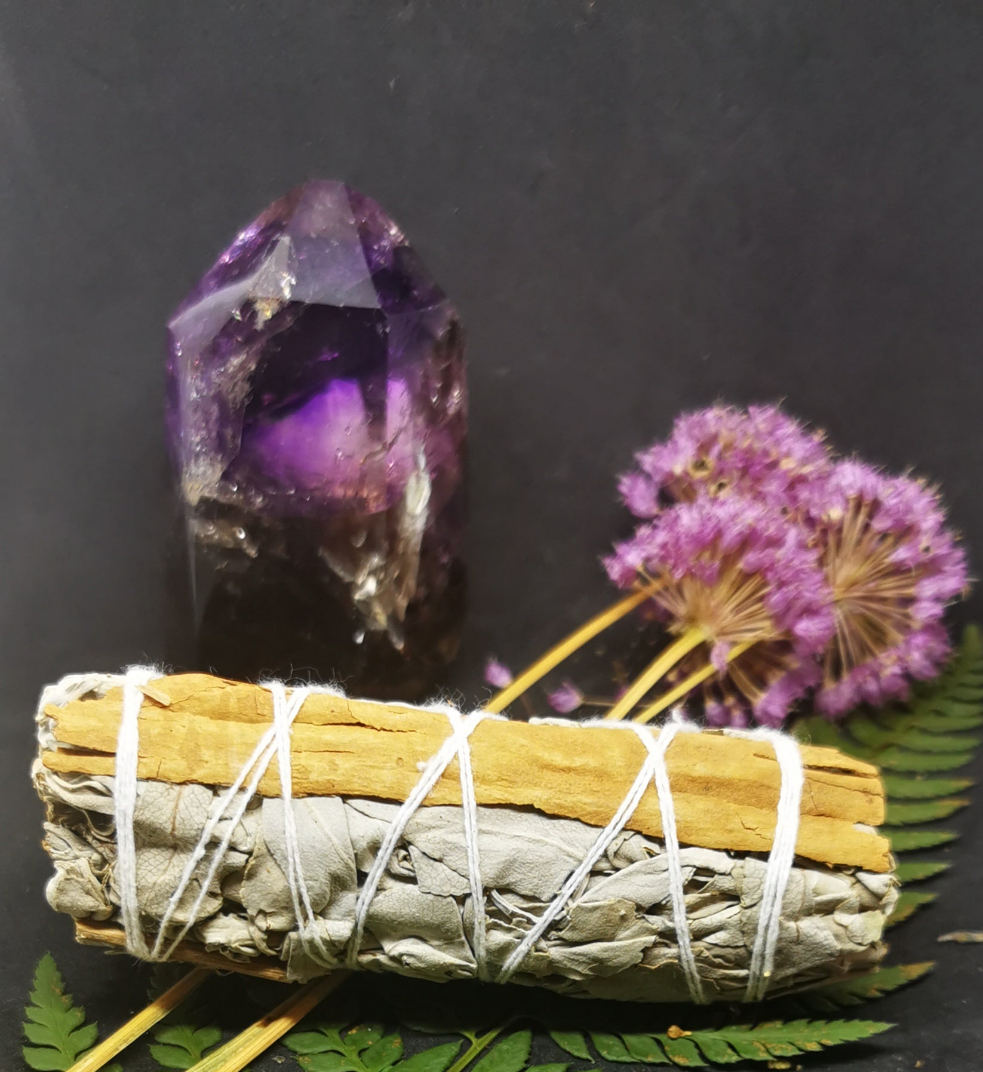 Sauge Cannelle Médiumnité & vibrations spirituelles, Purification, Prospérité