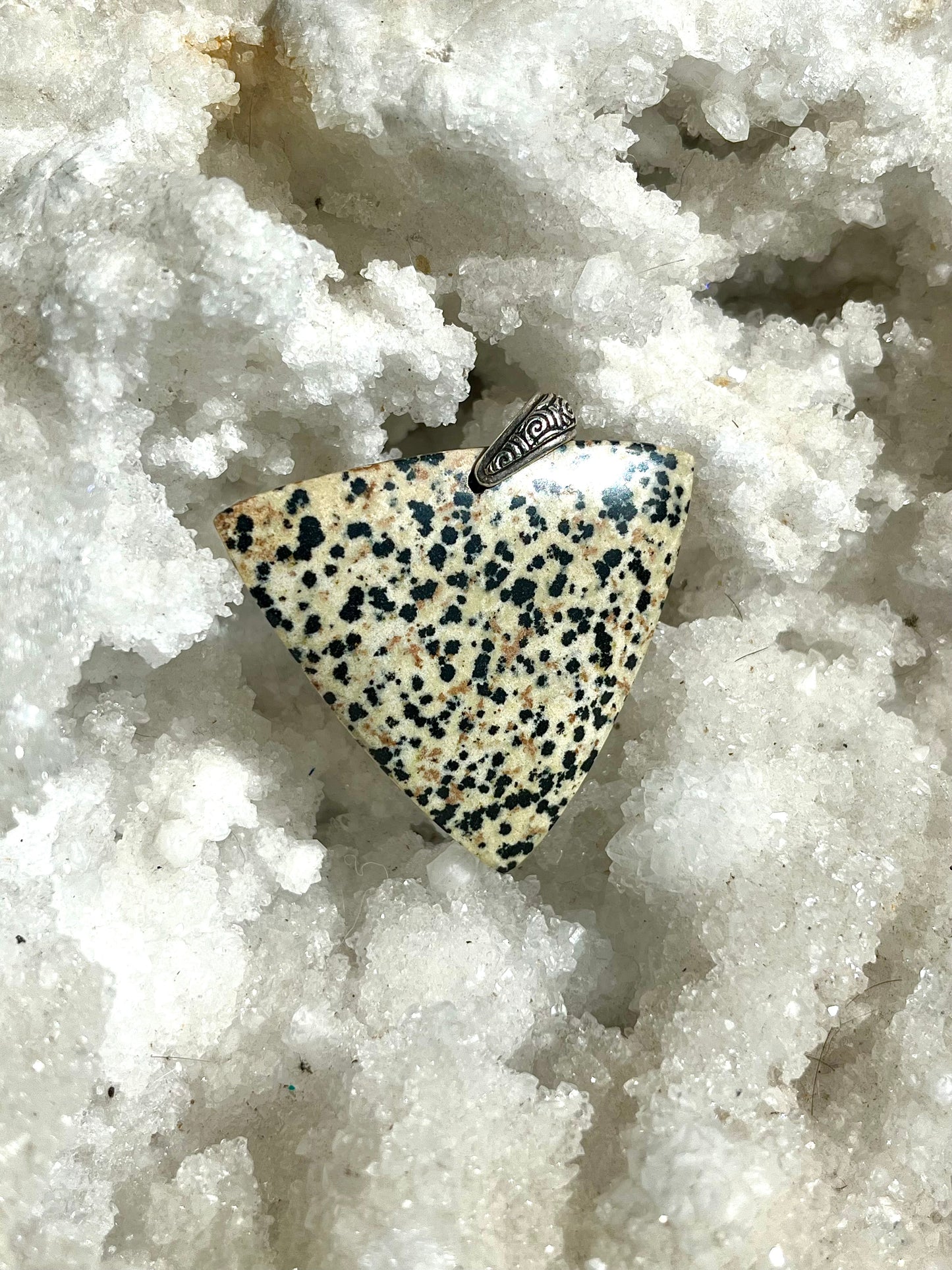 Jaspe dalmatien