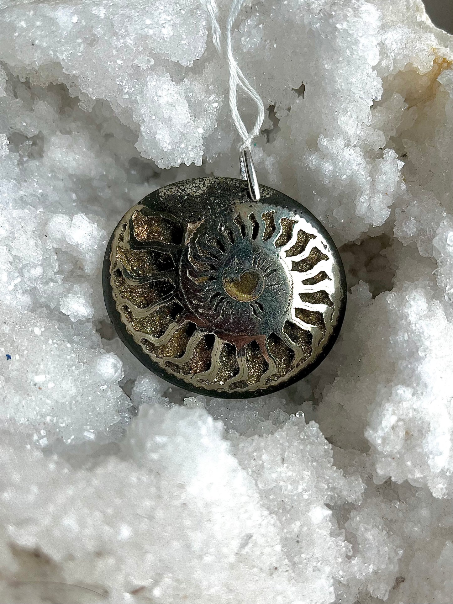 Ammonite Pyritisé a été volé merci de me contacter si aperçue. Récompense.