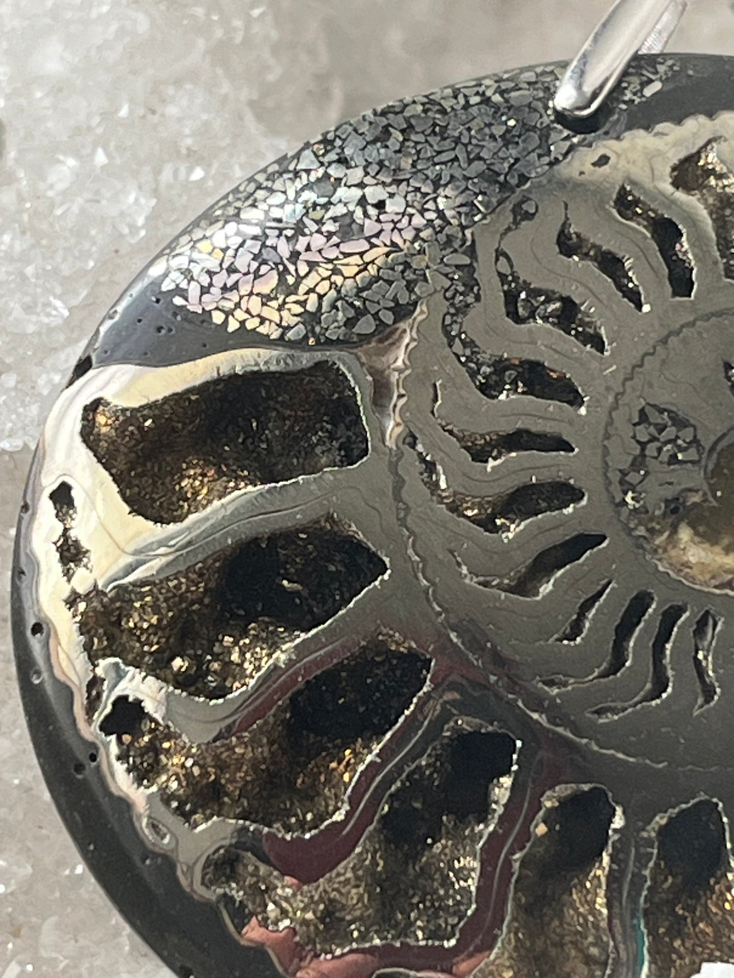 Ammonite Pyritisé a été volé merci de me contacter si aperçue. Récompense.