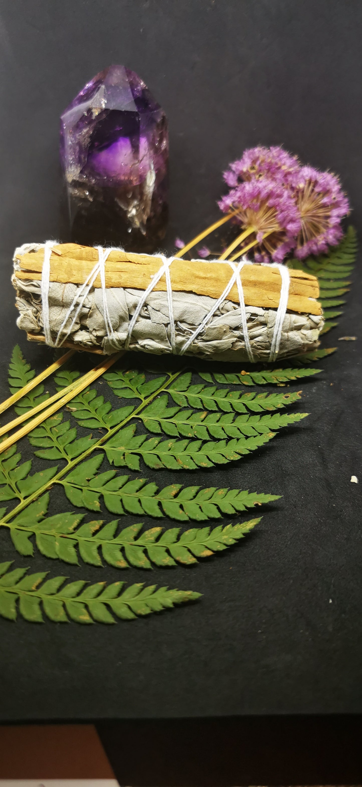 Sauge Cannelle Médiumnité & vibrations spirituelles, Purification, Prospérité