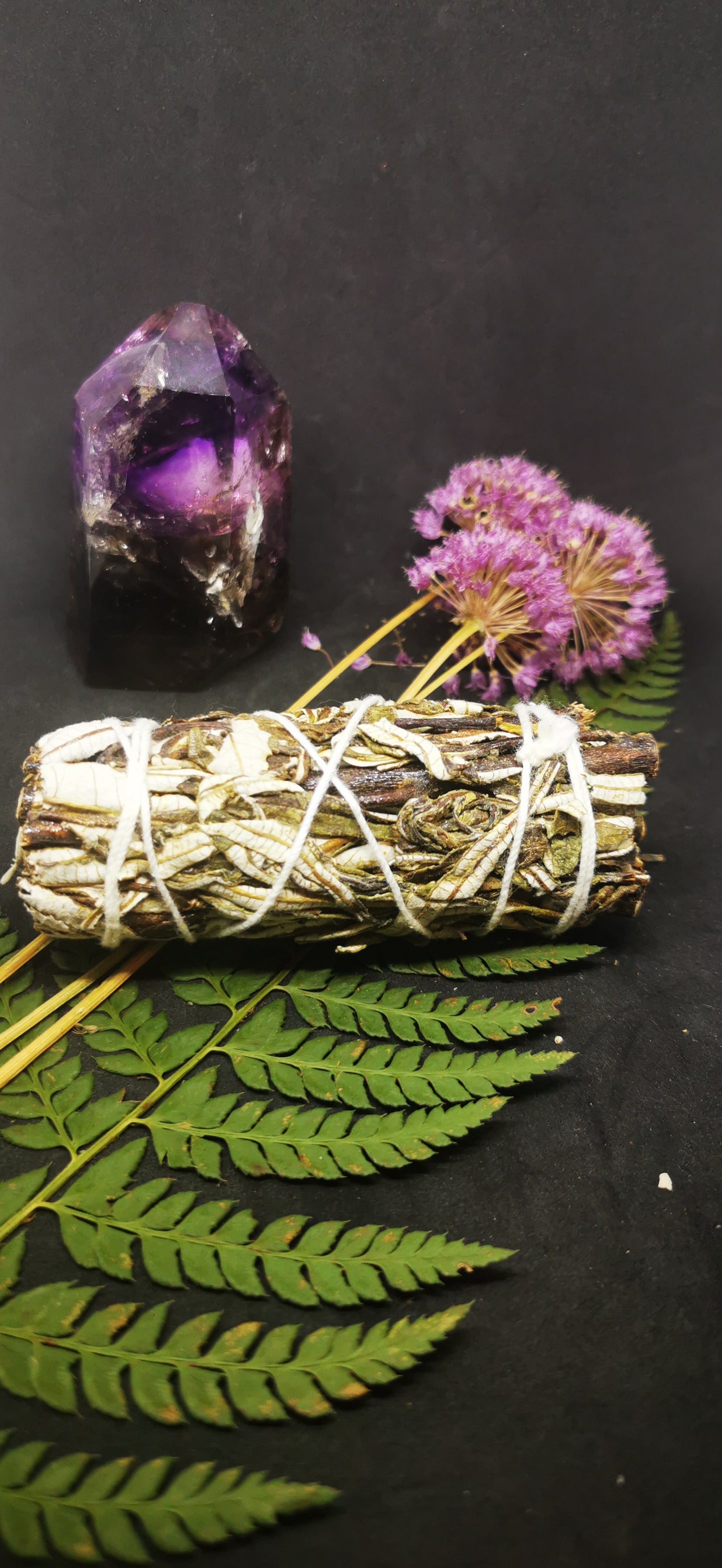 Sauge Noire Yerba Purification des pierres, auras, lieux, Stimule le Courage, Attire les énergies positives, Anti-peurs Illusions Inquietudes