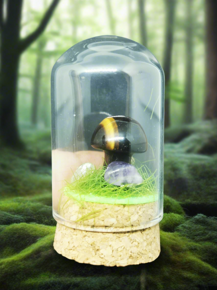 Champignon œil de tigre