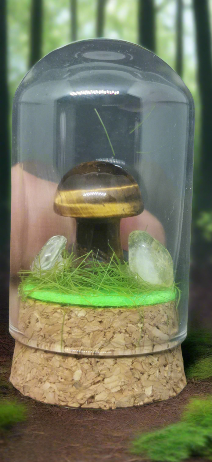 Champignon œil de tigre