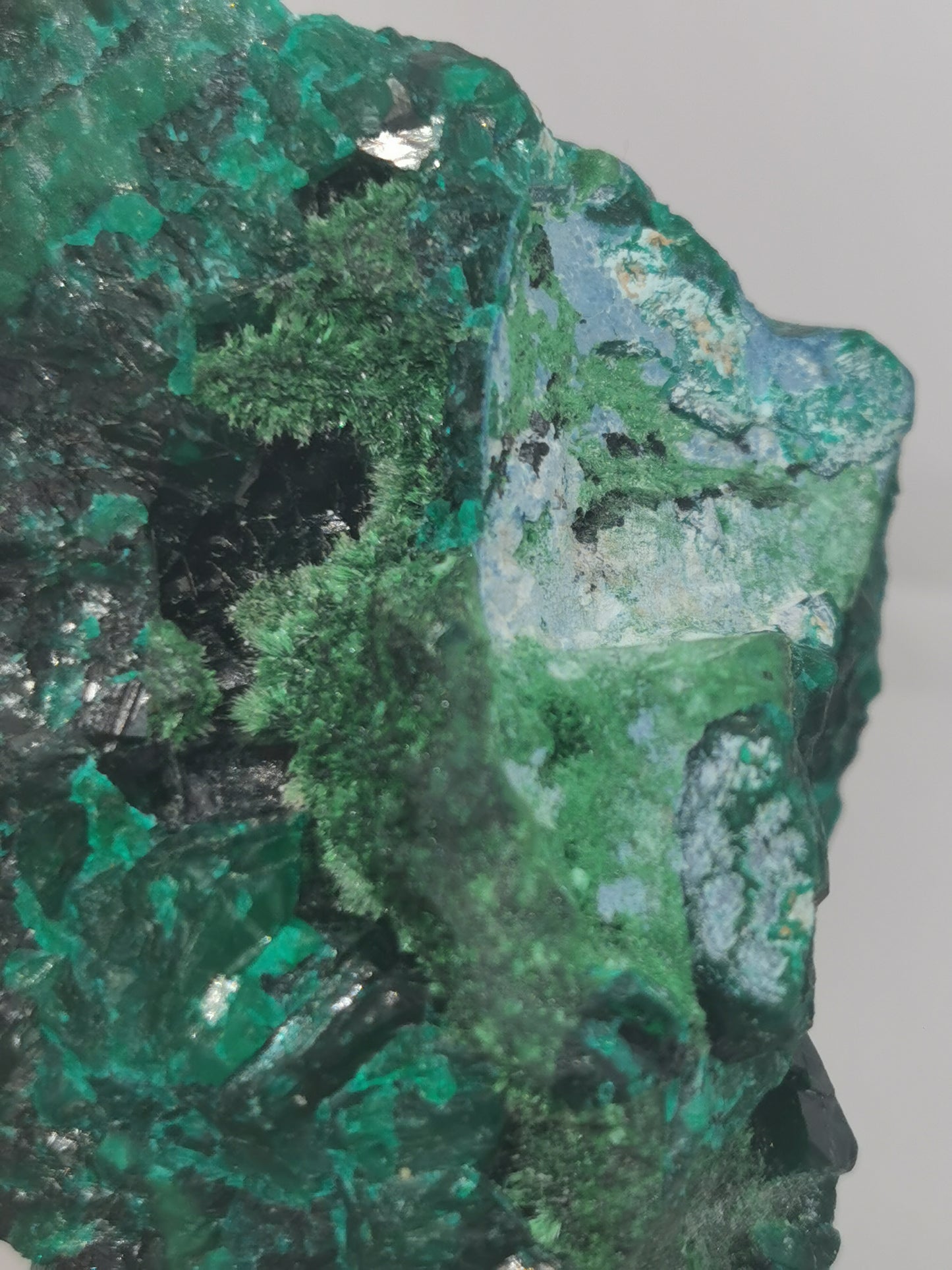 Dioptase du Congo Brut