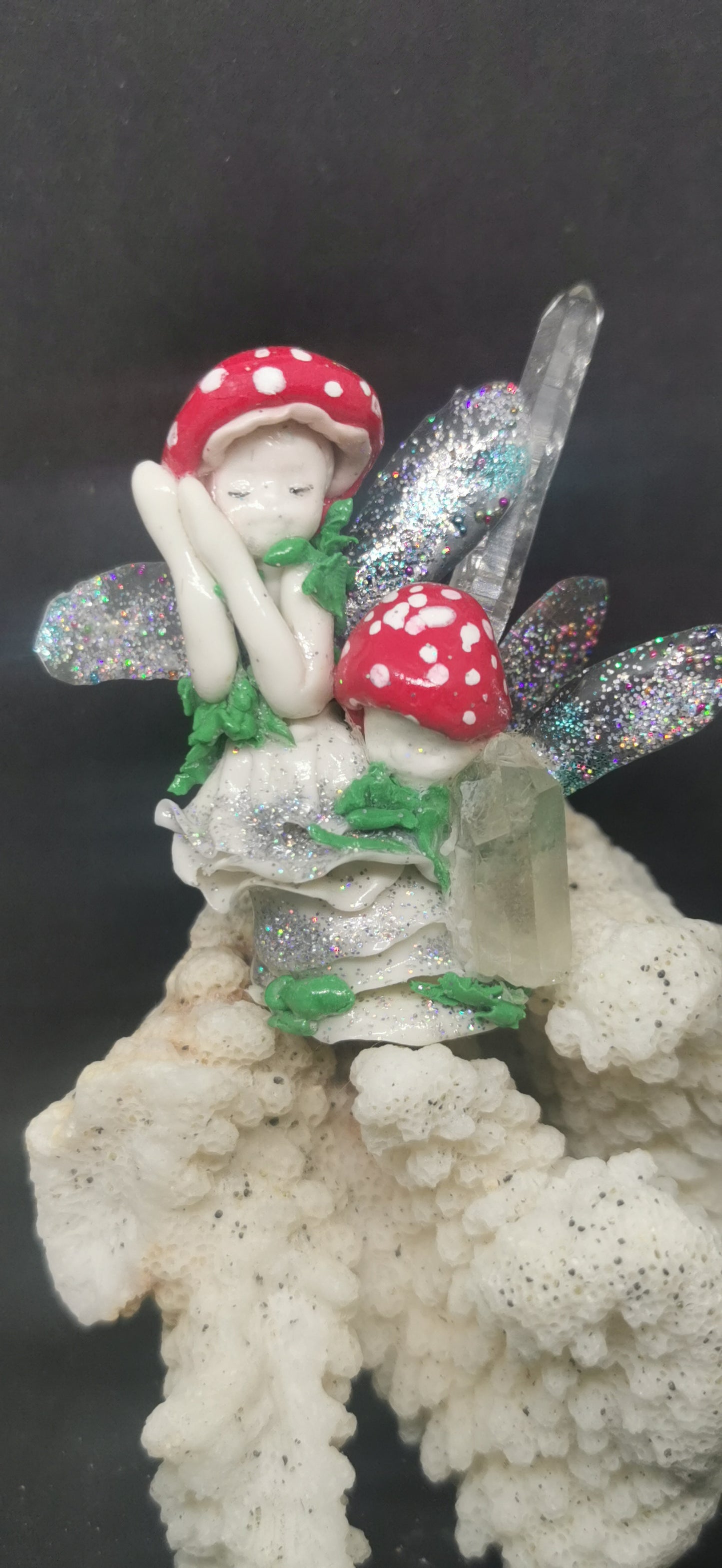 Famille de fée champignon