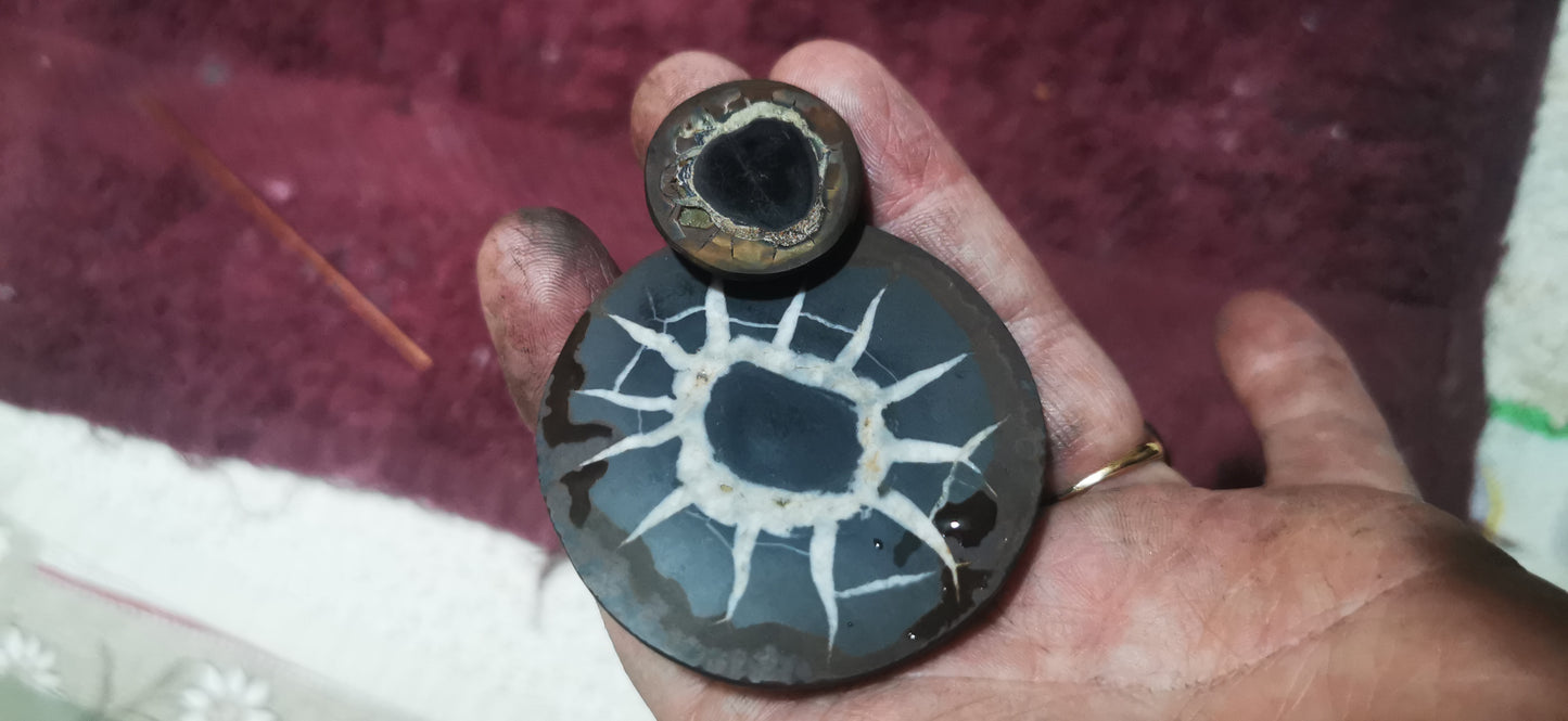 Septaria "réalisations"