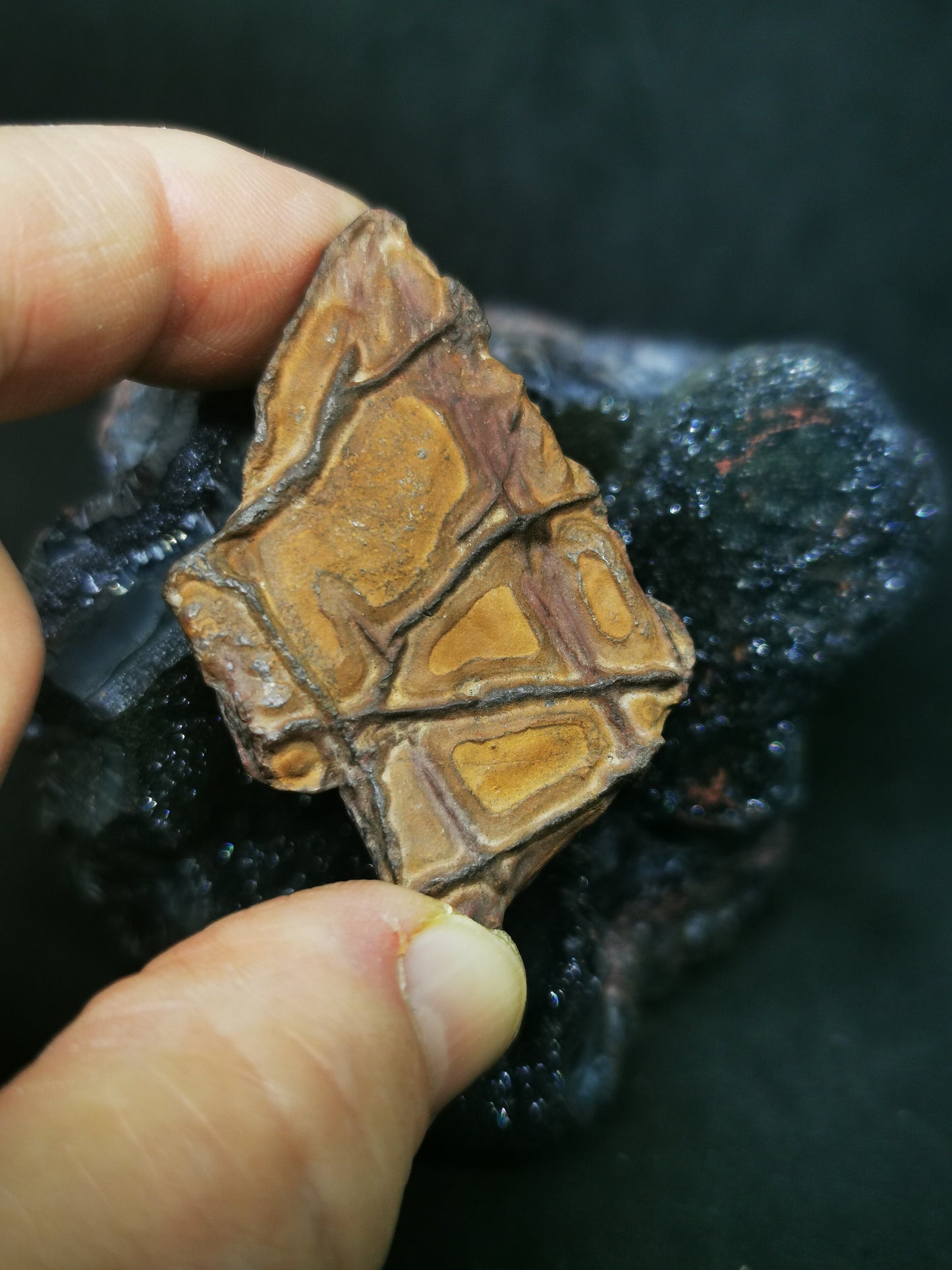 l'écriture de la terre