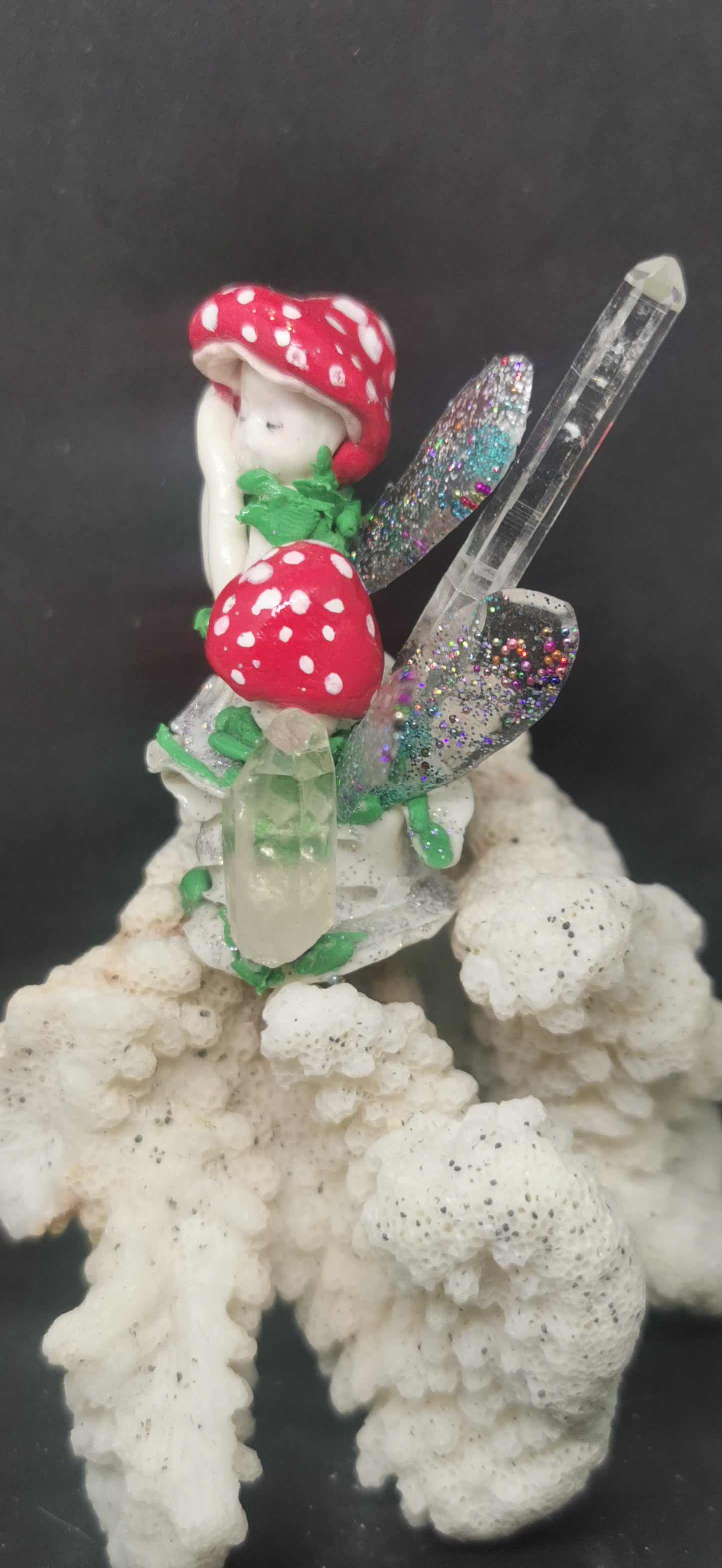 Famille de fée champignon