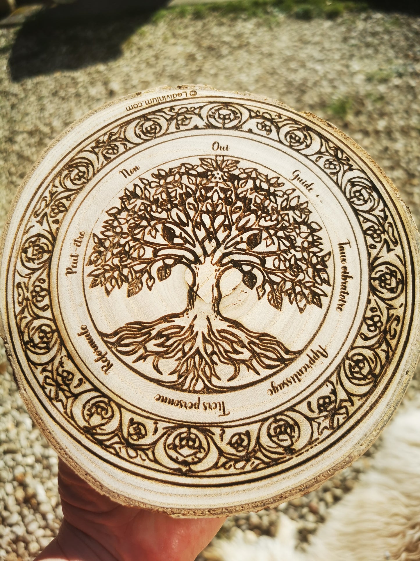 Planche de divination arbre de vie