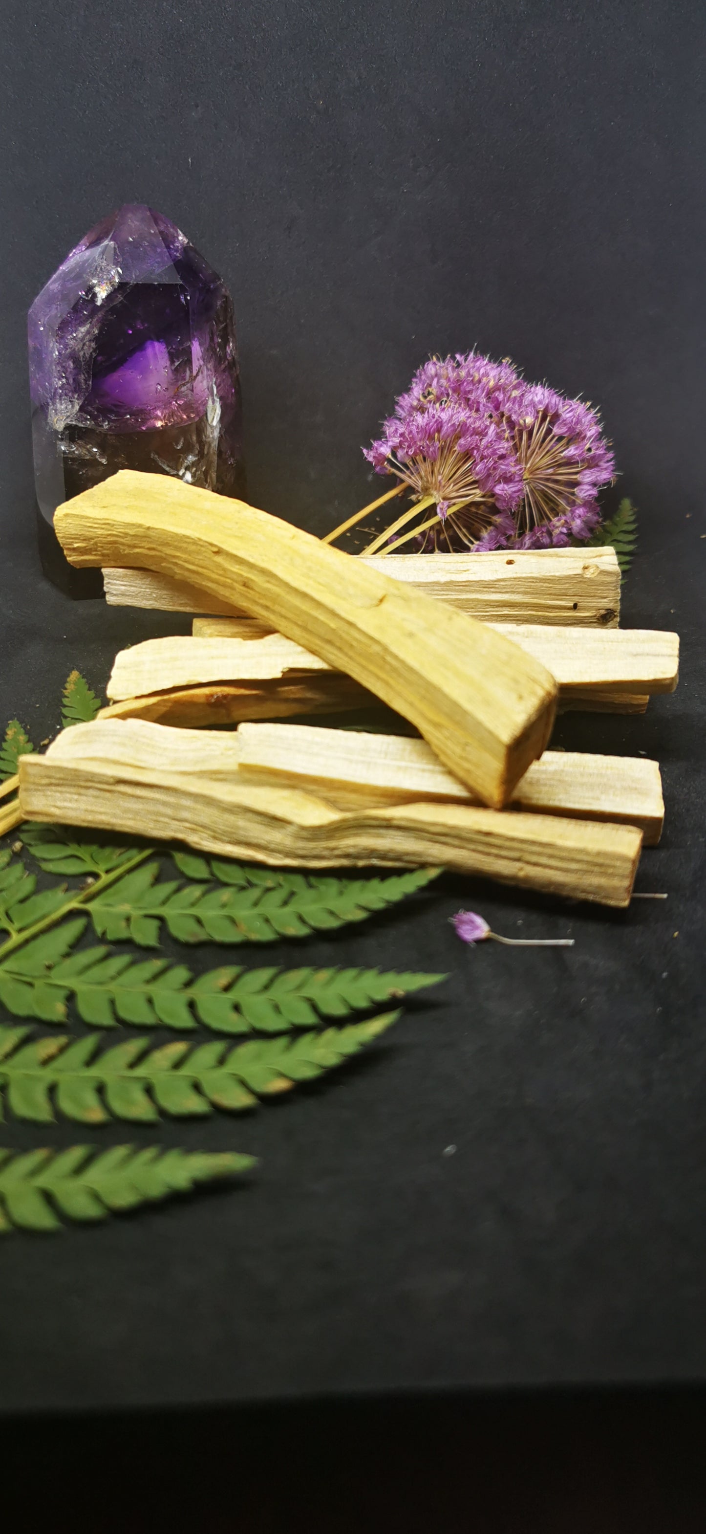 Palo Santo Purification de pièce, personnes et puissant désodorisant naturel 5 pieces