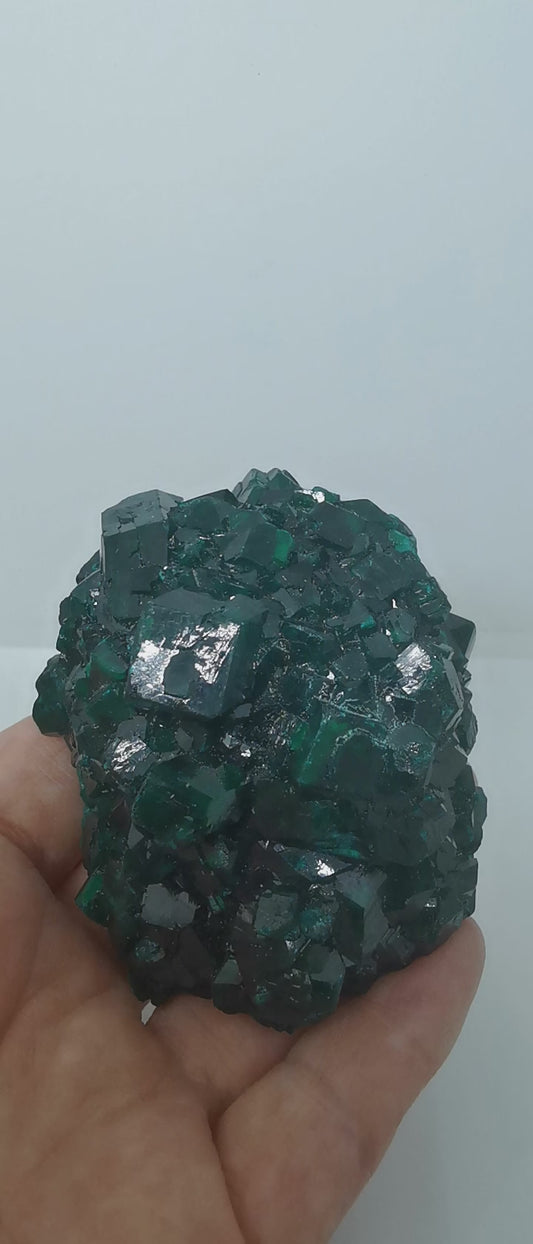 Géode de dioptase Congo.