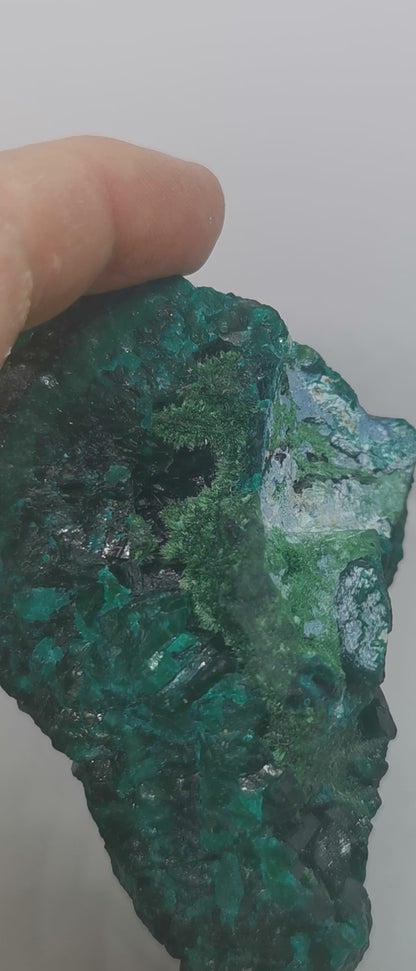Dioptase du Congo Brut