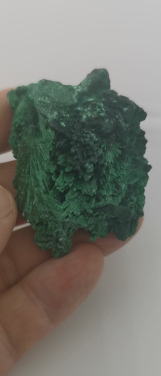 Malachite fibreuse Congo-pierre brute