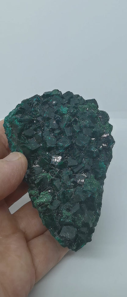 Dioptase du Congo Brut