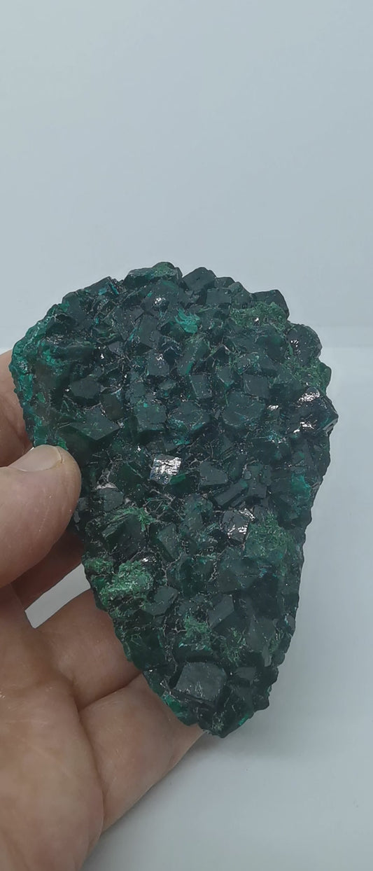 Dioptase du Congo Brut
