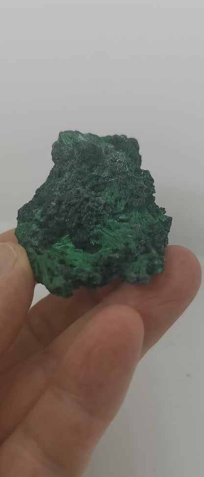 Malachite fibreuse Congo-pierre brute