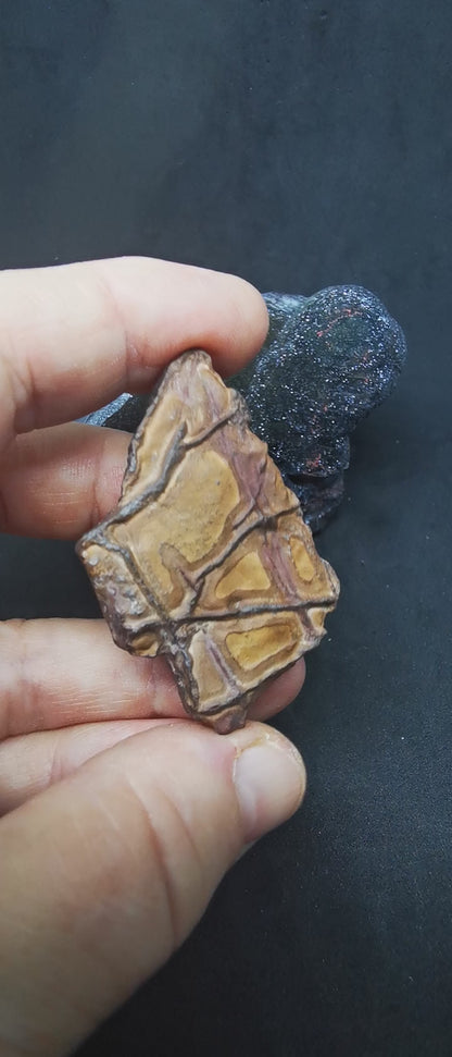 l'écriture de la terre