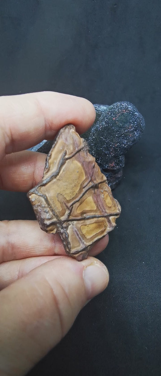 l'écriture de la terre