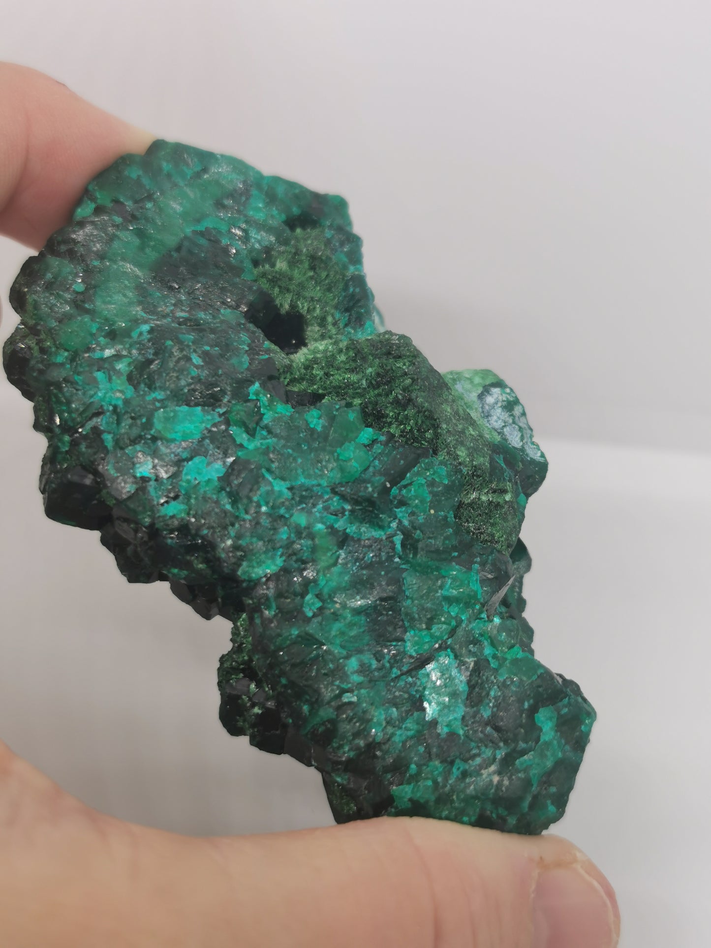 Dioptase du Congo Brut