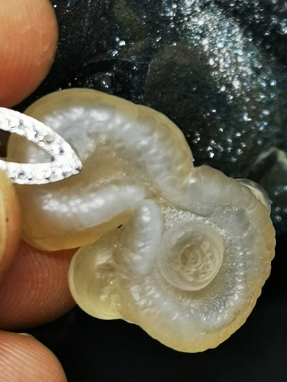 Calcedoine guttulaire