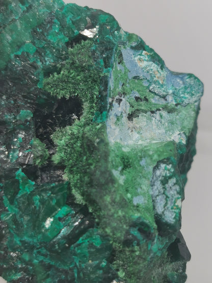 Dioptase du Congo Brut
