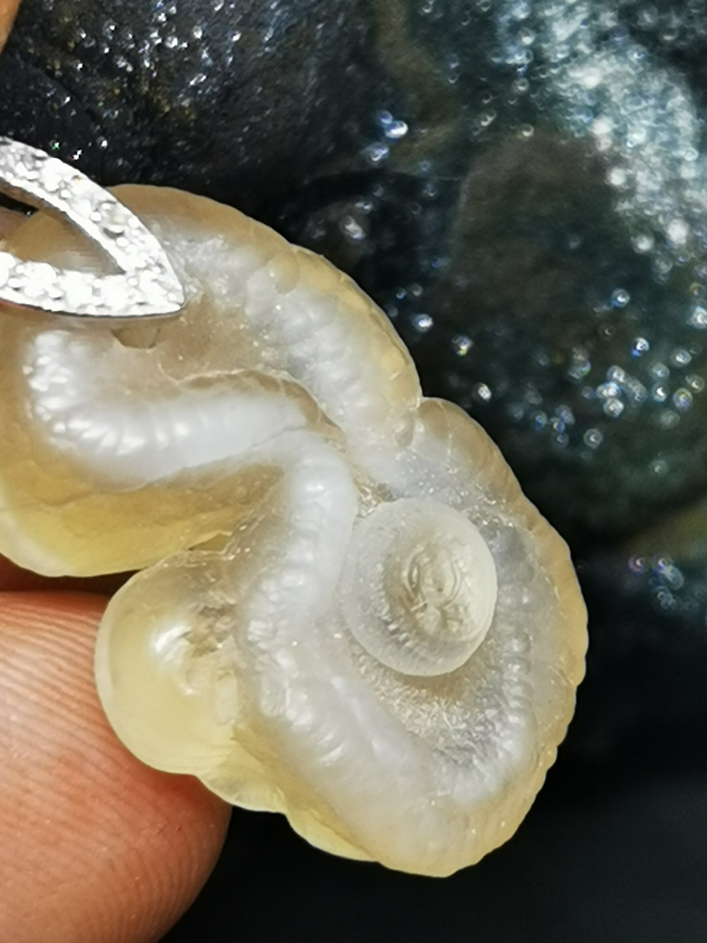 Calcedoine guttulaire