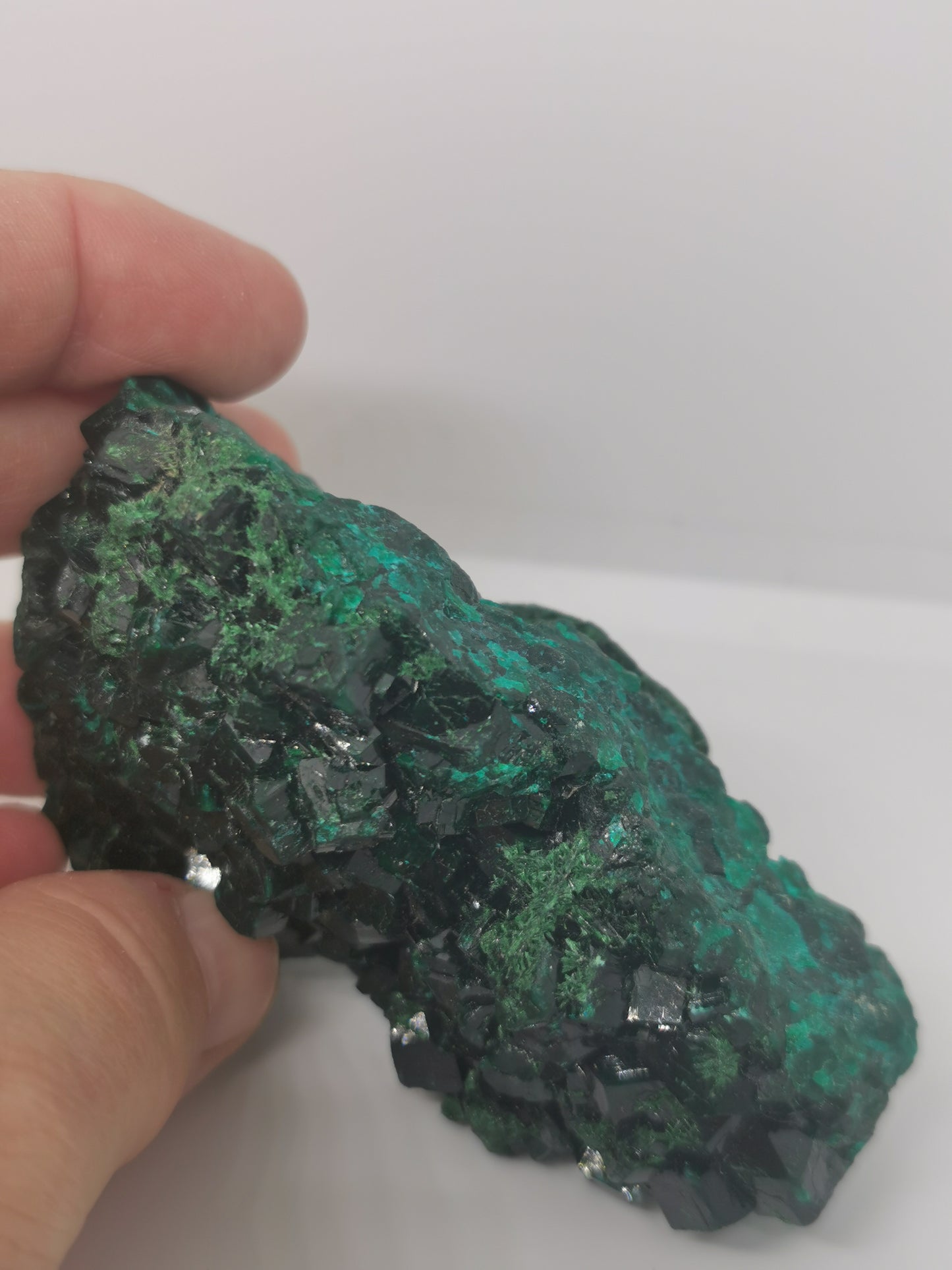 Dioptase du Congo Brut