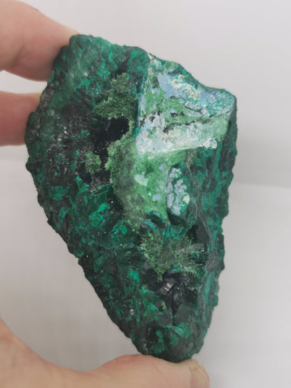 Dioptase du Congo Brut