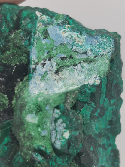 Dioptase du Congo Brut