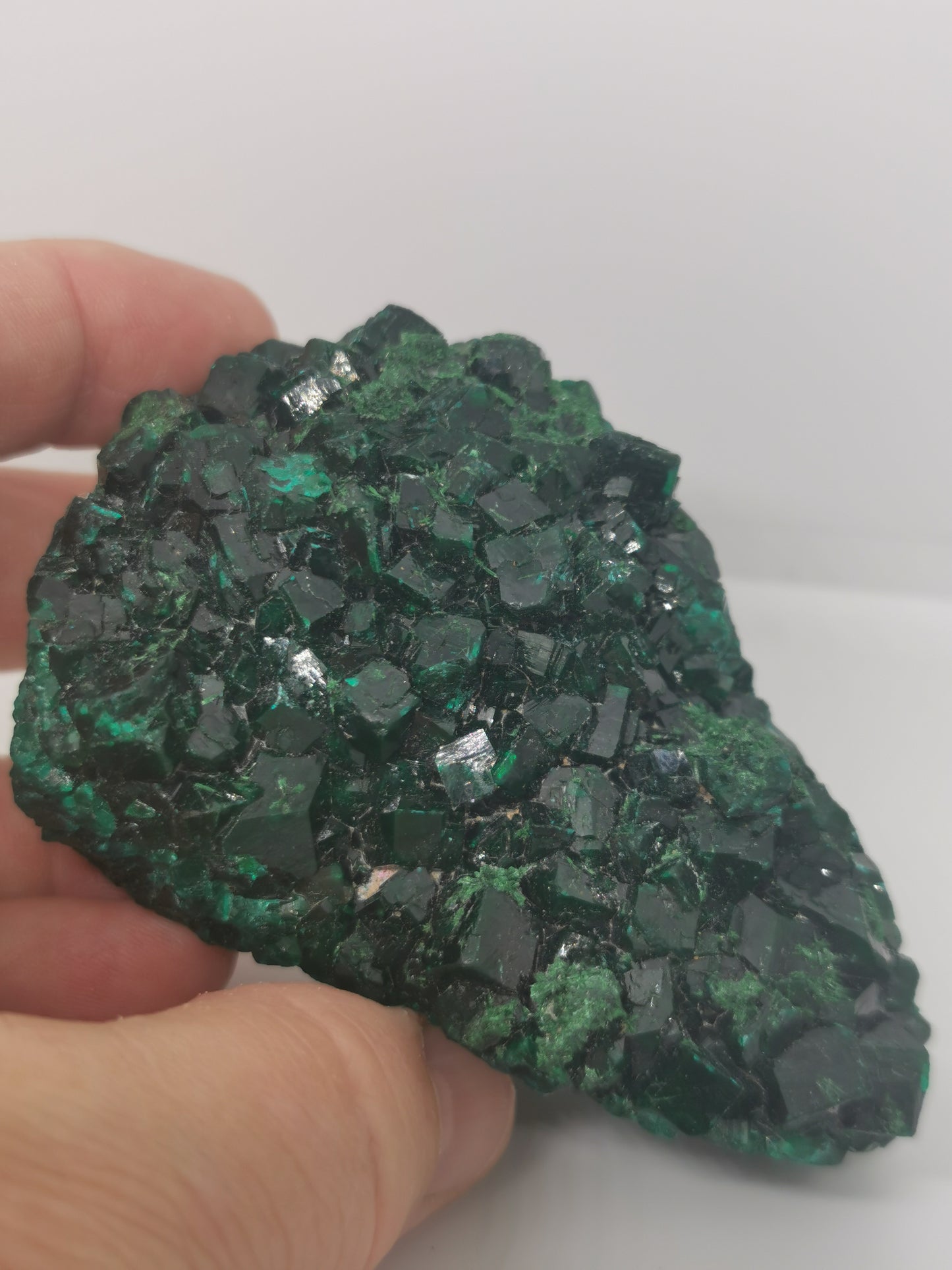 Dioptase du Congo Brut