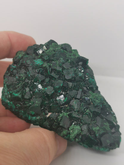Dioptase du Congo Brut
