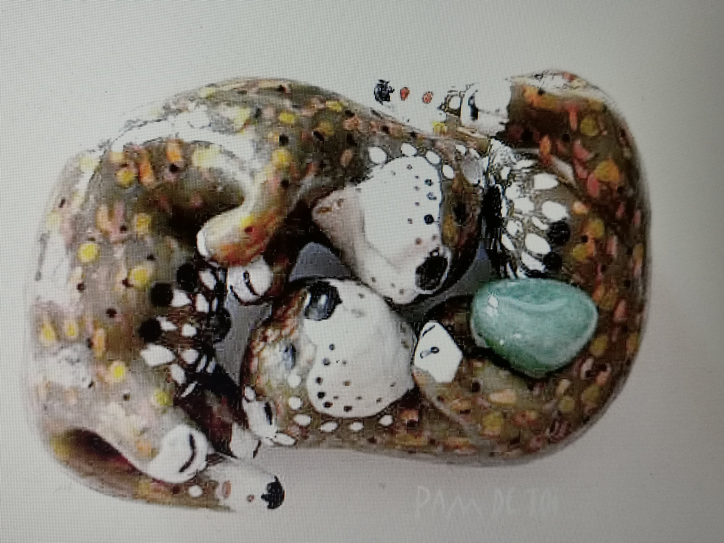 Mini-box "mineral&animal" totem