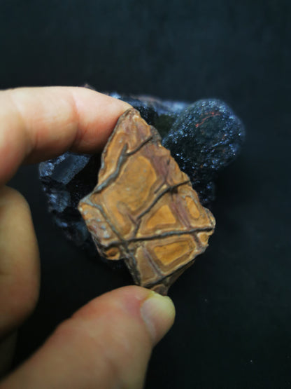 l'écriture de la terre