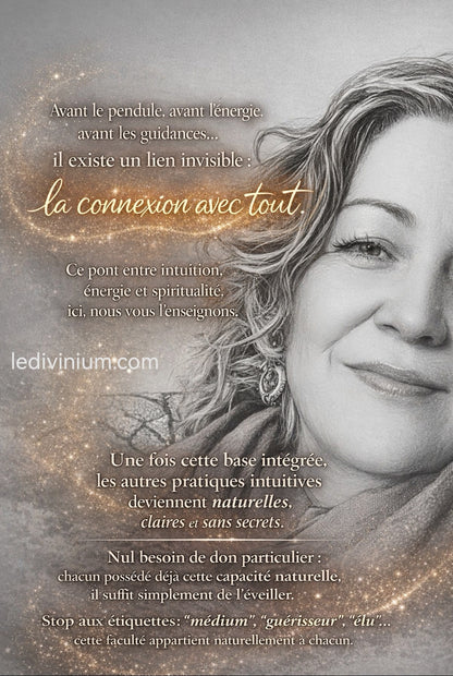 Stage IV - Intuitions fondamentales et ses perceptions (formule 1)
